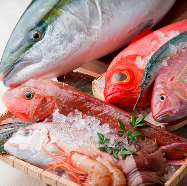 日本の魚は何種類? 豊富な種類のお魚は「百魚」で楽しめますよ!