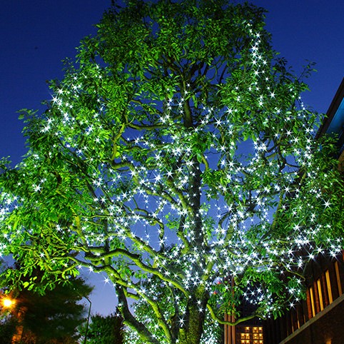 クリスマスデートに使える J Sbarをご紹介します