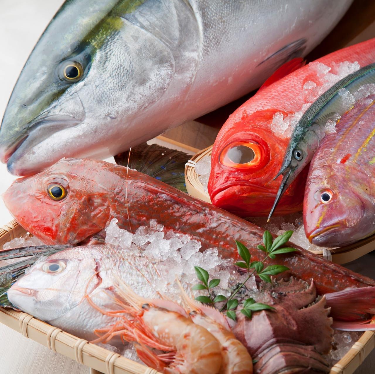 2 月 旬 の 魚
